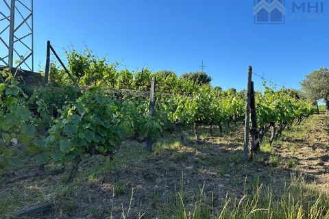 Granja a Vila Real, Vila Real, Vila Real - € 175.000 | Ref: MHI276 - foto 24