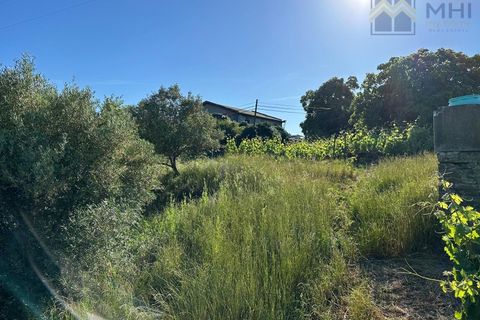 Granja a Vila Real, Vila Real, Vila Real - € 175.000 | Ref: MHI276 - foto 25