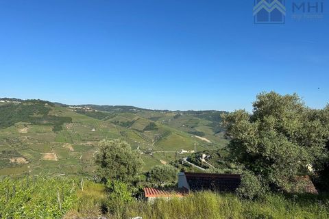 Granja a Vila Real, Vila Real, Vila Real - € 175.000 | Ref: MHI276 - foto 31