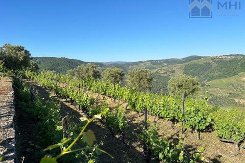 Granja a Vila Real, Vila Real, Vila Real - € 175.000 | Ref: MHI276 - foto 36