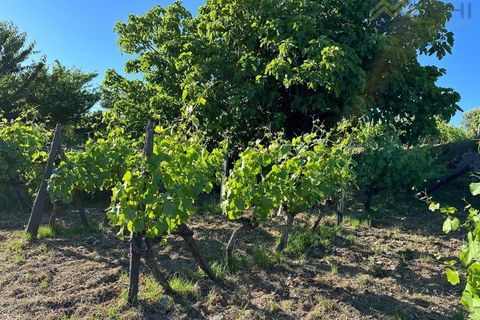 Granja a Vila Real, Vila Real, Vila Real - € 175.000 | Ref: MHI276 - foto 38