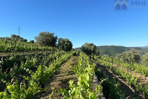 Granja a Vila Real, Vila Real, Vila Real - € 175.000 | Ref: MHI276 - foto 40