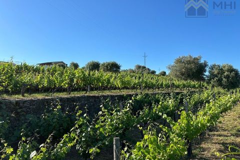 Granja a Vila Real, Vila Real, Vila Real - € 175.000 | Ref: MHI276 - foto 41