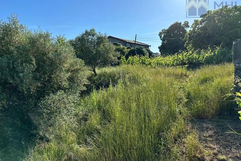 Granja a Vila Real, Vila Real, Vila Real - € 175.000 | Ref: MHI276 - foto 42