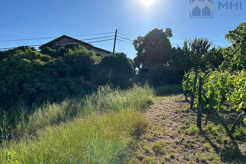 Granja a Vila Real, Vila Real, Vila Real - € 175.000 | Ref: MHI276 - foto 48