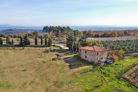 Landejendom i Trequanda, Siena, Trequanda - € 950.000 | Ref: DIC.14143 - foto 3