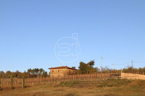 Landejendom i Trequanda, Siena, Trequanda - € 950.000 | Ref: DIC.14143 - foto 4