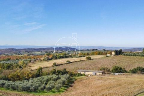 Landejendom i Trequanda, Siena, Trequanda - € 950.000 | Ref: DIC.14143 - foto 6