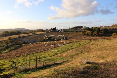 Landejendom i Trequanda, Siena, Trequanda - € 950.000 | Ref: DIC.14143 - foto 7