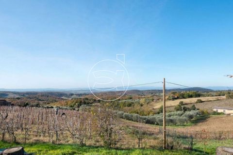 Landejendom i Trequanda, Siena, Trequanda - € 950.000 | Ref: DIC.14143 - foto 9