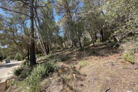 Terra a Sa Pobla, Mallorca, Sa Pobla - € 350.000 | Ref: 79661 - foto 4