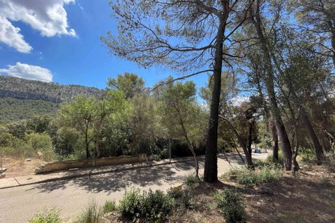 Terra a Sa Pobla, Mallorca, Sa Pobla - € 350.000 | Ref: 79661 - foto 5