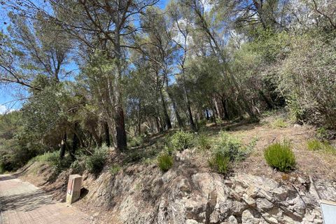 Terra a Sa Pobla, Mallorca, Sa Pobla - € 350.000 | Ref: 79661 - foto 6
