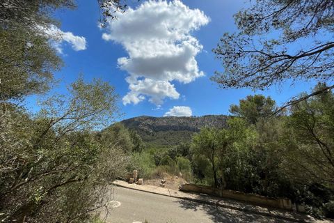 Terra a Sa Pobla, Mallorca, Sa Pobla - € 350.000 | Ref: 79661 - foto 7
