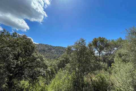 Terra a Sa Pobla, Mallorca, Sa Pobla - € 350.000 | Ref: 79661 - foto 9