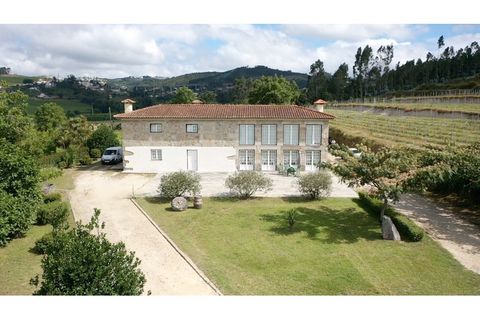 Farm i Lousada, Porto, Lousada - € 990.000 | Ref: MG-930 - foto 21