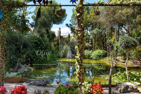 Landejendom i Santa Eugenia, Mallorca, Santa Eugenia - € 6.950.000 | Ref: SE495 - foto 17