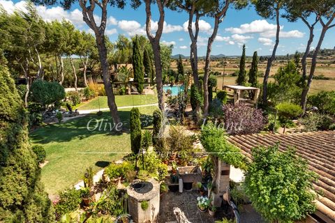 Landejendom i Santa Eugenia, Mallorca, Santa Eugenia - € 6.950.000 | Ref: SE495 - foto 23