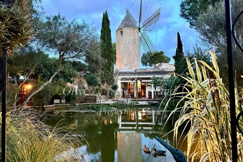 Landejendom i Santa Eugenia, Mallorca, Santa Eugenia - € 6.950.000 | Ref: SE495 - foto 2