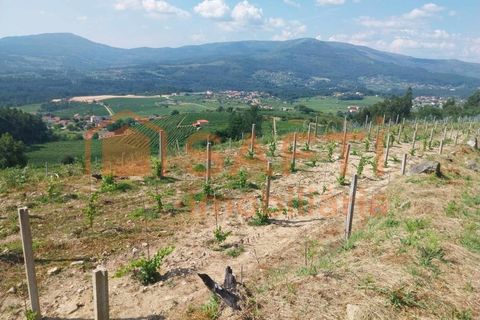 Terra a Ceivaes e Badim, Viana do Castelo, Ceivaes e Badim - € 18.000 | Ref: SAFTI:005451 - foto 7