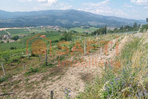Terra a Ceivaes e Badim, Viana do Castelo, Ceivaes e Badim - € 18.000 | Ref: SAFTI:005451 - foto 8