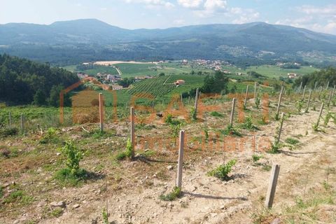 Terra a Ceivaes e Badim, Viana do Castelo, Ceivaes e Badim - € 18.000 | Ref: SAFTI:005451 - foto 11