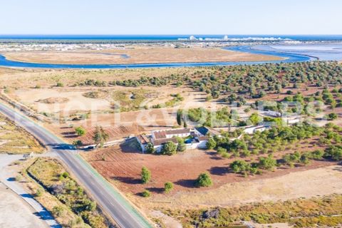 Farm i Castro Marim, Faro, Castro Marim - € 2.990.000 | Ref: W-02MGFL - foto 15