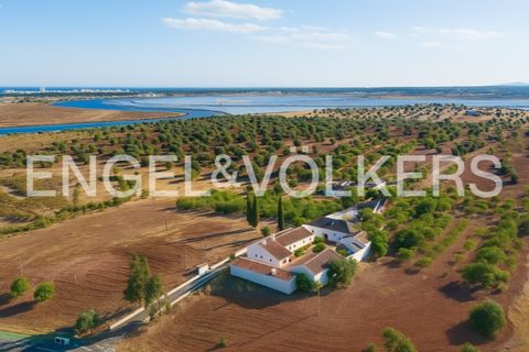 Farm i Castro Marim, Faro, Castro Marim - € 2.990.000 | Ref: W-02MGFL - foto 2