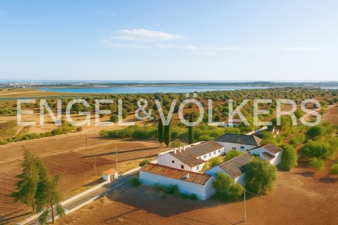 Farm i Castro Marim, Faro, Castro Marim - € 2.990.000 | Ref: W-02MGFL - foto 3