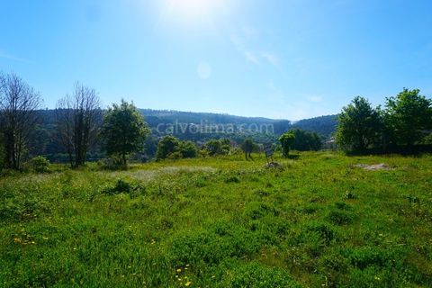Helårsgrund i Valenca, Viana do Castelo, Valenca - € 30.000 | Ref: 4176 - foto 4