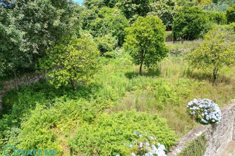 Helårsgrund i Braga, Braga, Braga - € 549.000 | Ref: 112741 - foto 7