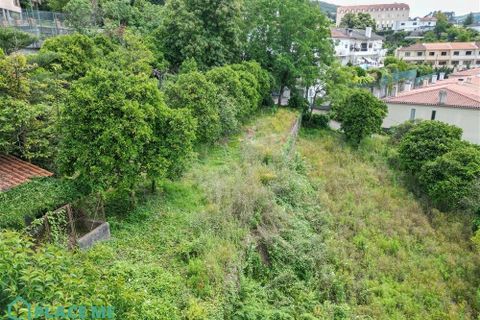 Helårsgrund i Braga, Braga, Braga - € 549.000 | Ref: 112741 - foto 8