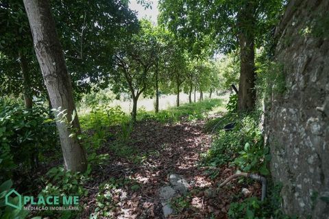 Helårsgrund i Braga, Braga, Braga - € 549.000 | Ref: 112741 - foto 17