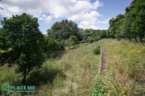 Helårsgrund i Braga, Braga, Braga - € 549.000 | Ref: 112741 - foto 19