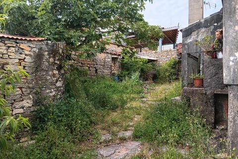 Landejendom i Condeixa-a-Nova, Coimbra, Condeixa-a-Nova - € 76.000 | Ref: CAS_1090 - foto 15