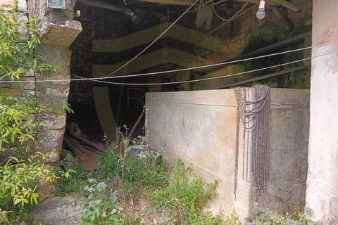 Landejendom i Condeixa-a-Nova, Coimbra, Condeixa-a-Nova - € 76.000 | Ref: CAS_1090 - foto 19