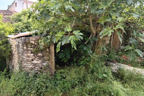 Landejendom i Condeixa-a-Nova, Coimbra, Condeixa-a-Nova - € 76.000 | Ref: CAS_1090 - foto 21
