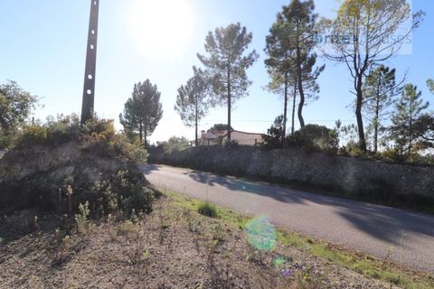 Helårsgrund i Tomar, Santarem, Tomar - € 80.000 | Ref: Tr109 - foto 7