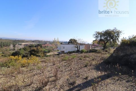 Helårsgrund i Tomar, Santarem, Tomar - € 80.000 | Ref: Tr109 - foto 8