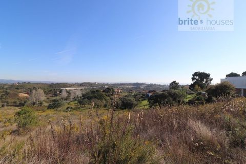 Helårsgrund i Tomar, Santarem, Tomar - € 80.000 | Ref: Tr109 - foto 2
