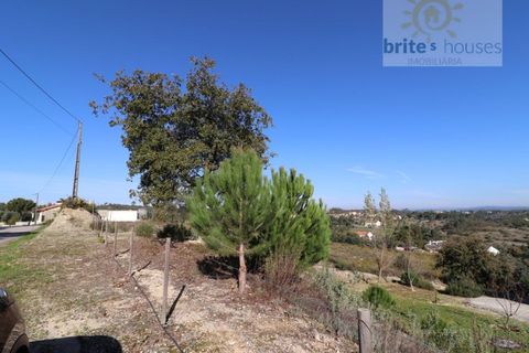 Helårsgrund i Tomar, Santarem, Tomar - € 80.000 | Ref: Tr109 - foto 9