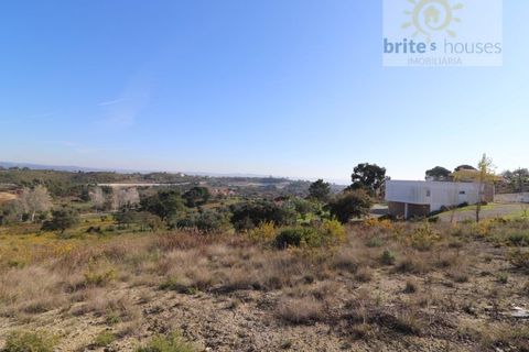 Helårsgrund i Tomar, Santarem, Tomar - € 80.000 | Ref: Tr109 - foto 11
