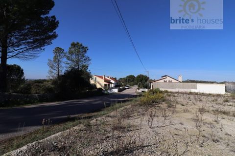 Helårsgrund i Tomar, Santarem, Tomar - € 80.000 | Ref: Tr109 - foto 12