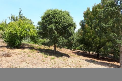 Helårsgrund i Sintra, Lisbon, Sintra - € 3.200.000 | Ref: SÒL_1419 - foto 2