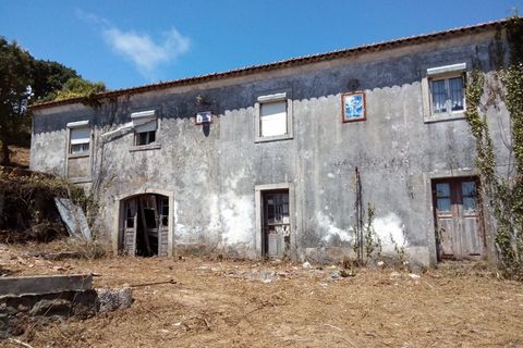 Helårsgrund i Sintra, Lisbon, Sintra - € 3.200.000 | Ref: SÒL_1419 - foto 4