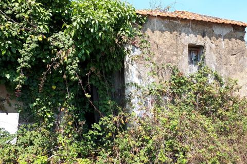 Helårsgrund i Sintra, Lisbon, Sintra - € 3.200.000 | Ref: SÒL_1419 - foto 5