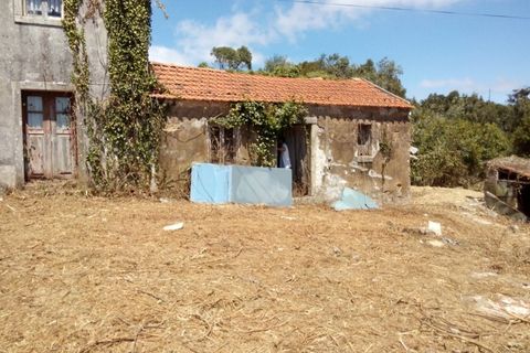 Helårsgrund i Sintra, Lisbon, Sintra - € 3.200.000 | Ref: SÒL_1419 - foto 6