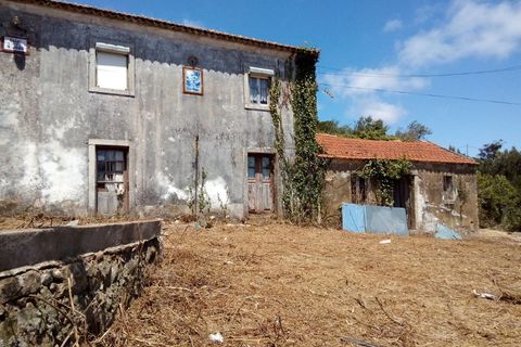 Helårsgrund i Sintra, Lisbon, Sintra - € 3.200.000 | Ref: SÒL_1419 - foto 7