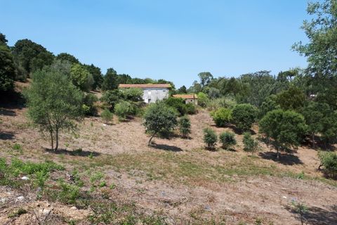Helårsgrund i Sintra, Lisbon, Sintra - € 3.200.000 | Ref: SÒL_1419 - foto 8