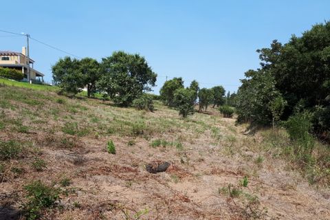 Helårsgrund i Sintra, Lisbon, Sintra - € 3.200.000 | Ref: SÒL_1419 - foto 9
